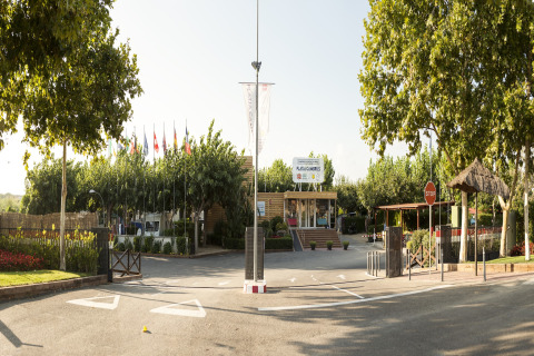 Ingang van een lodge met vlaggen, bomen en receptie, zonnige dag en ontspannen sfeer buiten.