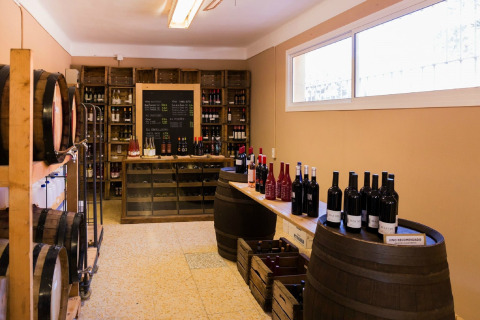 Magasin de vins avec tonneaux, bouteilles et étagères dans un hébergement glamping bien éclairé.