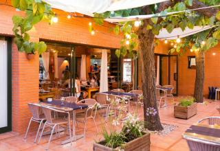 Espace repas extérieur charmant dans un hébergement glamping, avec guirlandes et arbres ombragés.