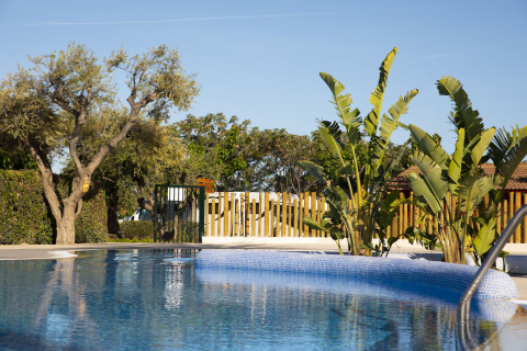 Piscine dans un hébergement glamping, entourée d’arbres, de plantes exotiques et d’un ciel bleu dégagé.