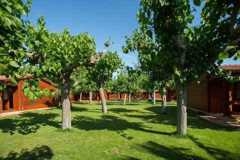 Arbres verts et cabanes en bois au lodge La Llosa Ponent en Espagne sous un ciel bleu clair.
