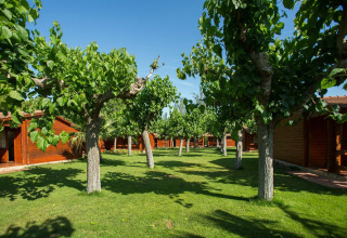 Arbres verts et cabanes en bois au lodge La Llosa Ponent en Espagne sous un ciel bleu clair.
