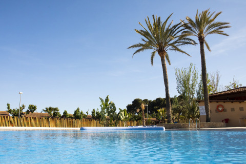 Piscine dans un hébergement glamping avec palmiers, ciel bleu et ambiance extérieure relaxante.