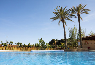 Piscine dans un hébergement glamping avec palmiers, ciel bleu et ambiance extérieure relaxante.