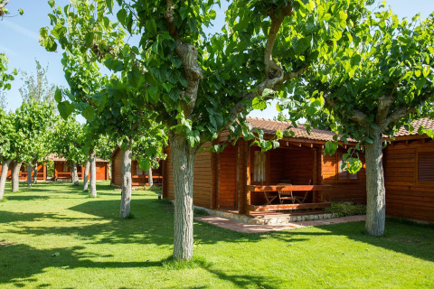 Bungalow in legno a La Llosa Mestral circondati da alberi verdi e prato in un ambiente soleggiato e tranquillo.