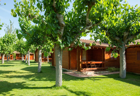 Bungalow in legno a La Llosa Mestral circondati da alberi verdi e prato in un ambiente soleggiato e tranquillo.