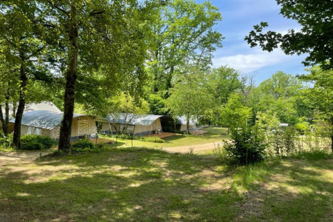 Tiendas safari en Camping Le Clou 1 en Francia, rodeadas de árboles y césped verde bajo el cielo azul.