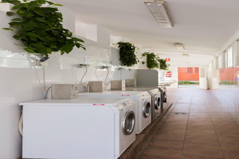 Lavanderia con lavatrici e piante verdi presso La Llosa Mestral-BUNGALOWS-G, alloggio in Spagna.