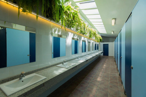 Bagno comune moderno con cabine blu, specchi, lavandini e piante a La Llosa Mestral in Spagna.