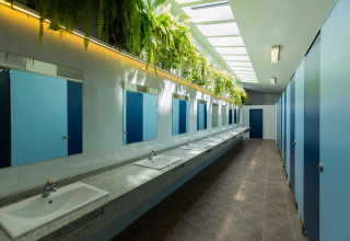 Bagno comune moderno con cabine blu, specchi, lavandini e piante a La Llosa Mestral in Spagna.