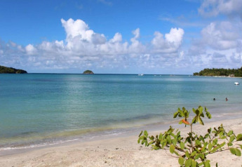 View from a glamping site overlooking a tranquil sandy beach, clear turquoise sea, and blue sky.