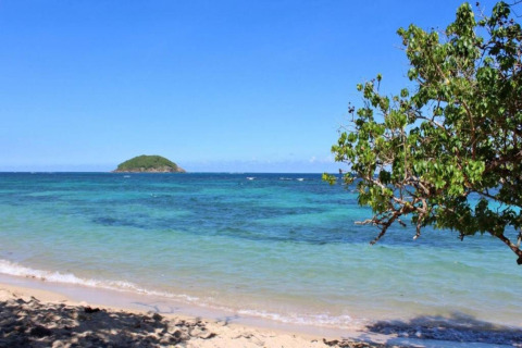 Vista desde un alojamiento glamping de una playa, mar azul cristalino, árbol a la derecha e isla al fondo.