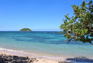 Vista desde un alojamiento glamping de una playa, mar azul cristalino, árbol a la derecha e isla al fondo.