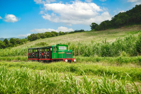 Pequeño tren verde de turistas atraviesa campos verdes junto a un alojamiento de glamping bajo cielo azul.