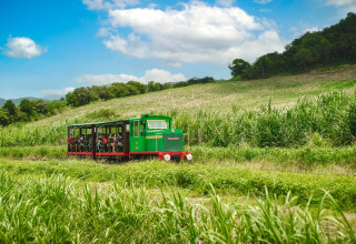 Pequeño tren verde de turistas atraviesa campos verdes junto a un alojamiento de glamping bajo cielo azul.
