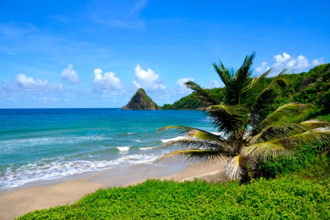 Vista desde un alojamiento glamping: playa tropical con palmeras, mar azul y colinas verdes al fondo.