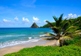 Vista desde un alojamiento glamping: playa tropical con palmeras, mar azul y colinas verdes al fondo.