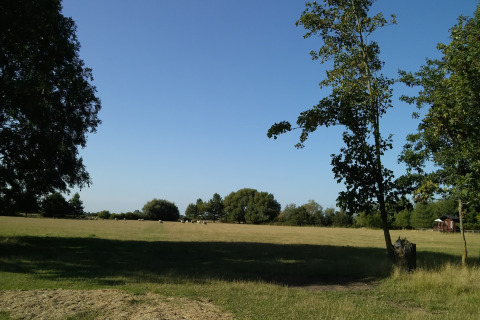 Landskab ved New Puddledock lodge i Storbritannien med marker, træer og klar blå himmel.