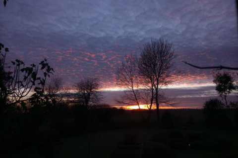 Solnedgang ved New Puddledock Lodge i Storbritannien med dramatiske lilla og orange skyer over træerne.