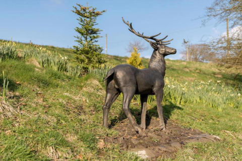 Bronzestatue af en hjort på en grøn skråning ved New Puddledock Lodge i Storbritannien, solrig dag.