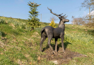 Bronzestatue af en hjort på en grøn skråning ved New Puddledock Lodge i Storbritannien, solrig dag.