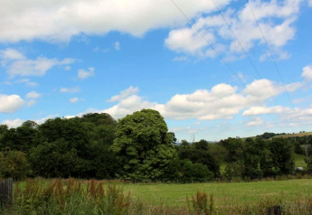Vista di un campo verde e alberi sotto un cielo azzurro con nuvole, scattata presso un alloggio glamping.