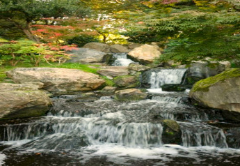 Cascade paisible dans un jardin verdoyant entouré d’arbres et de rochers, prise lors d’un glamping.