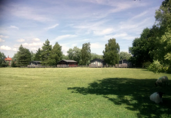 Champ vert avec moutons à l’ombre et cabanes visibles à l’arrière-plan au New Puddledock Lodge, UK.