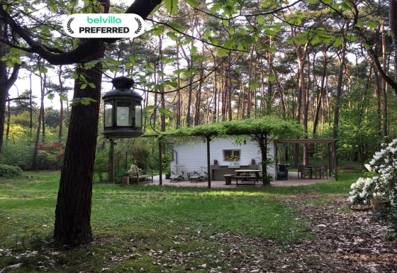 Chalet Het Beerenbos immerso nel bosco, con area esterna e tanta vegetazione verde intorno.
