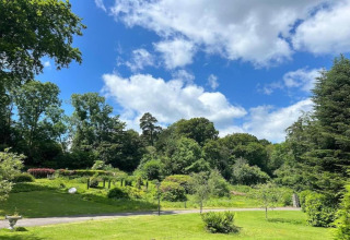 Udsigt over frodig have og træer under blå himmel med skyer hos Little Dunley - Apple Lodge, Storbritannien.