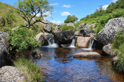 Et smukt vandløb omgivet af store sten og grøn vegetation ved Little Dunley - Apple Lodge i Storbritannien.