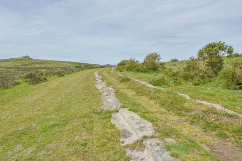 Stenet sti gennem et grønt landskab nær Little Dunley - Apple Lodge i Storbritannien under overskyet himmel.