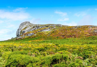 Bjergrigt landskab med farverige vilde blomster og grønne buske set ved Little Dunley - Apple Lodge, UK.