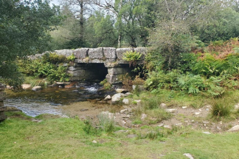 Stenbro over en bæk nær Little Dunley - Apple Lodge, omgivet af grøn vegetation og træer i England.