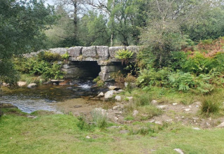Stenbro over en bæk nær Little Dunley - Apple Lodge, omgivet af grøn vegetation og træer i England.