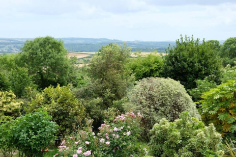 Udsigt til frodig grøn have og landskab set fra Little Dunley - Apple Lodge, Storbritannien.