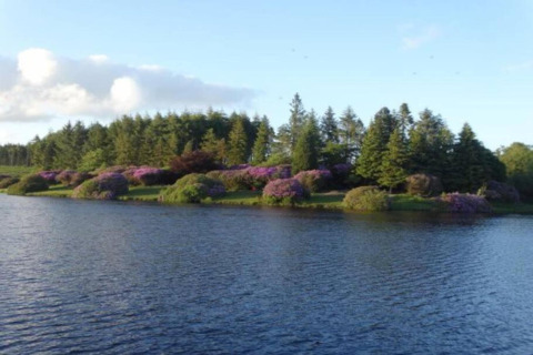 Udsigt over en sø og træer med blomstrende buske nær Little Dunley - Apple Lodge, Storbritannien.