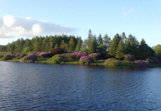 Udsigt over en sø og træer med blomstrende buske nær Little Dunley - Apple Lodge, Storbritannien.