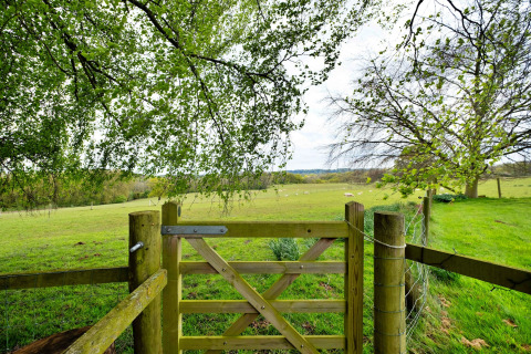 Vista su un campo verde, cancello in legno e alberi presso Hay and Hedgerow Glamping, Regno Unito.