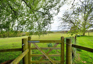 Vista su un campo verde, cancello in legno e alberi presso Hay and Hedgerow Glamping, Regno Unito.
