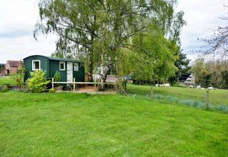 Casetta verde all’Hay and Hedgerow Glamping, Regno Unito, con pecore che pascolano tra alberi e prato.