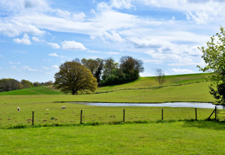 Vista di prati verdi, stagno, pecore e grandi alberi sotto cielo azzurro a Hay and Hedgerow Glamping, UK.