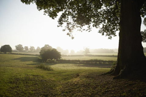 Zonnig landschap met weilanden en bomen bij Little Rissington - Barn Four Lodge, Verenigd Koninkrijk.
