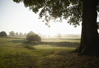 Zonnig landschap met weilanden en bomen bij Little Rissington - Barn Four Lodge, Verenigd Koninkrijk.