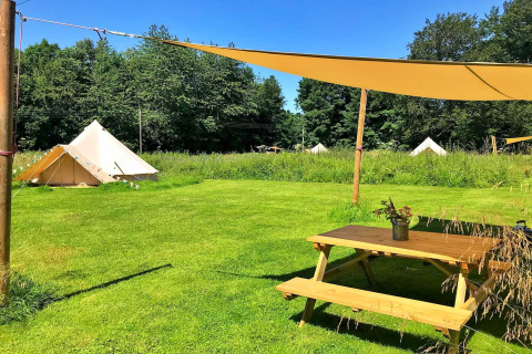 Grassy campsite with teepee tents, a picnic table under a sunshade, and trees on a clear, sunny day