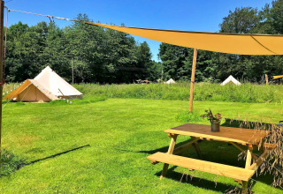 Grassy campsite with teepee tents, a picnic table under a sunshade, and trees on a clear, sunny day