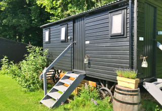 Black wooden hut on wheels with stairs, potted plants and a green garden, bathed in bright sunlight.