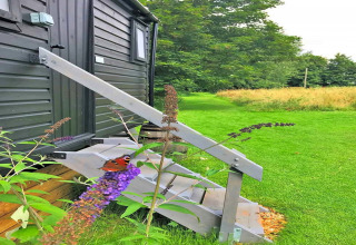 A butterfly perches on a purple flower by wooden steps of a small house, surrounded by green grass.