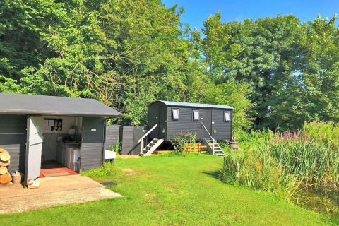 Black wooden cabin and shed on a grassy lawn by reeds, surrounded by trees under a bright blue sky.