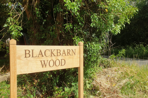 Cartello in legno con la scritta 'Blackbarn Wood' all'ingresso di un bosco nel Regno Unito, tra il verde.
